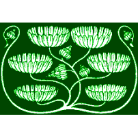 Susan Kinkead-Acree, MD, PLLC Logo