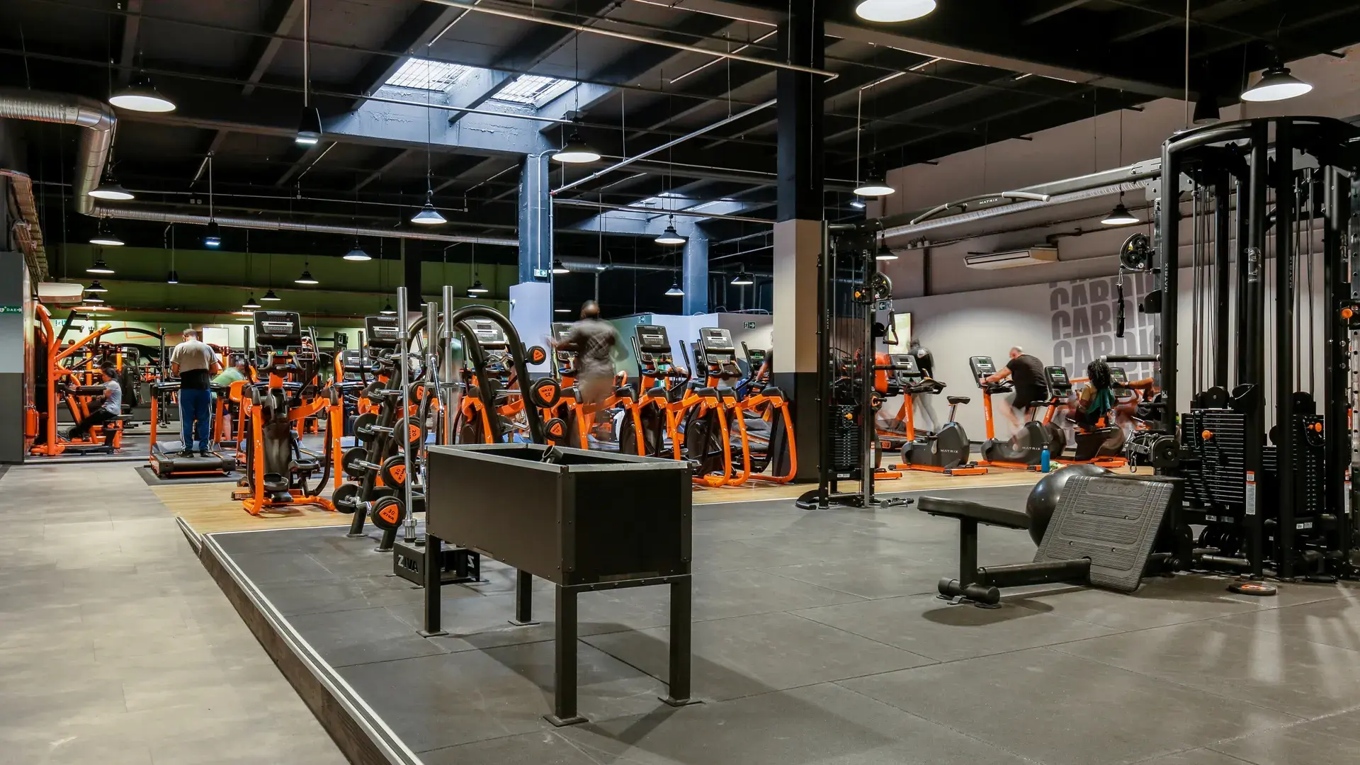 Miniature de la galerie