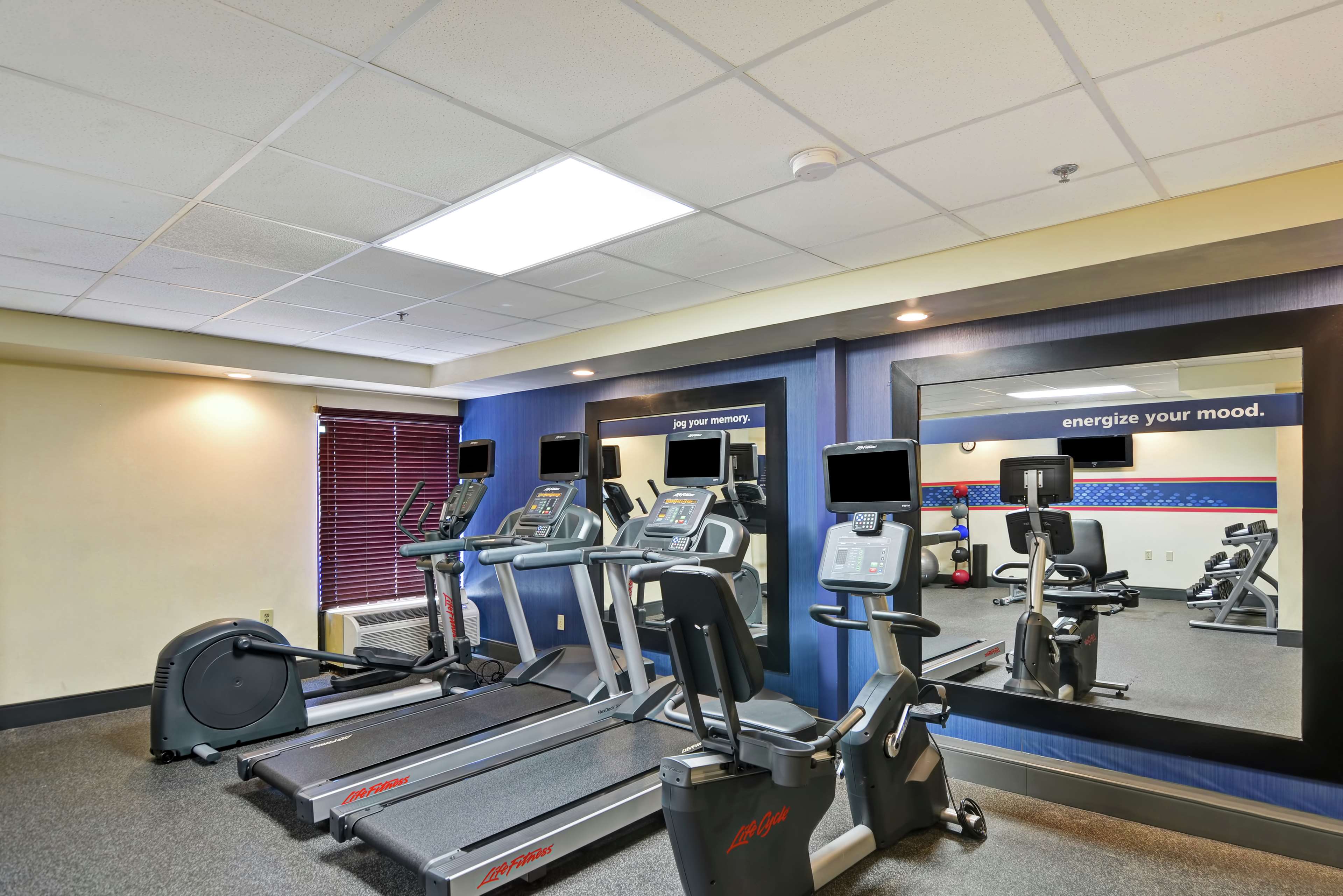 Health club  fitness center  gym