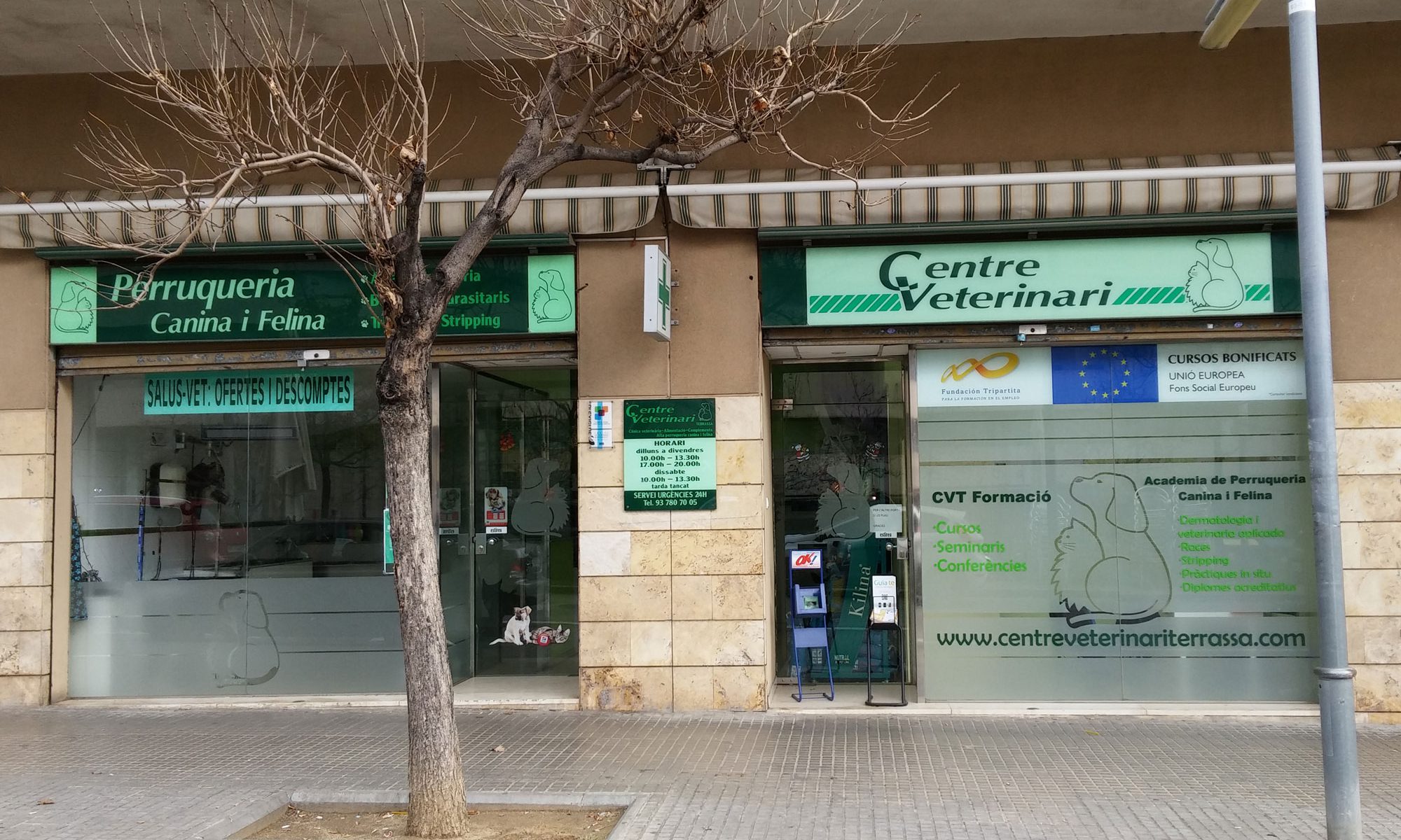 Galería en miniatura