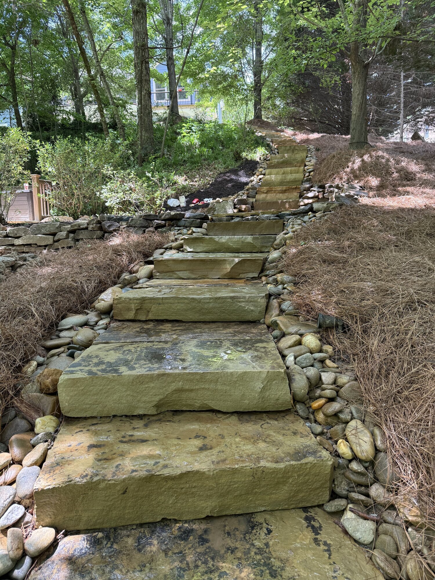 Fresh Start Landscape Image