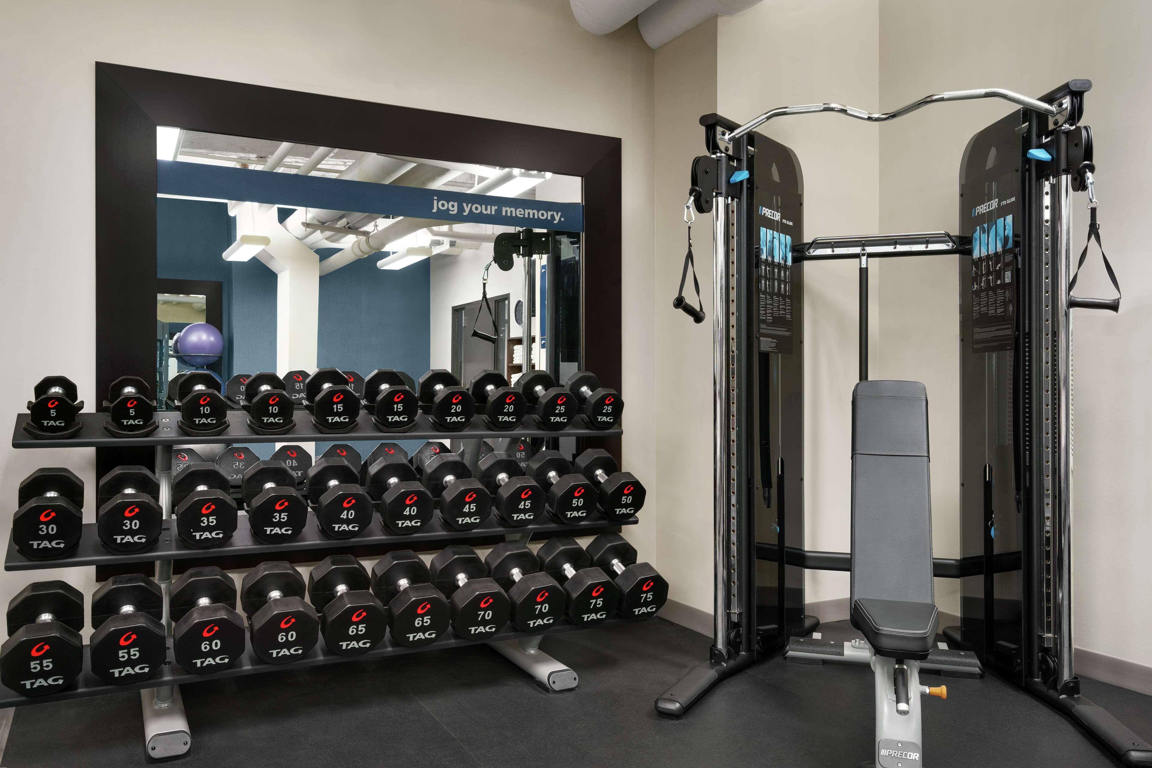 Health club  fitness center  gym