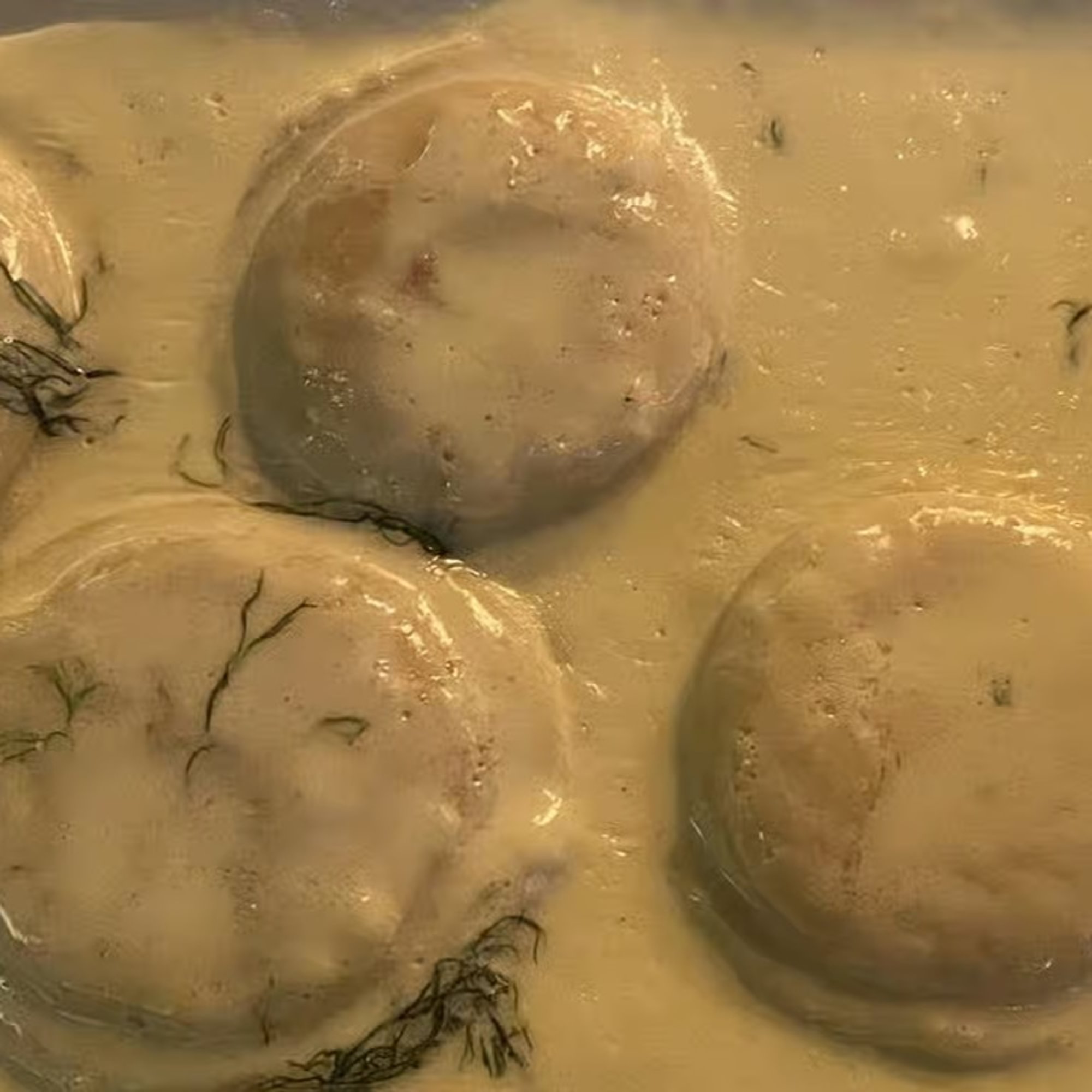 Lobster Ravioli with Alfredo Sauce