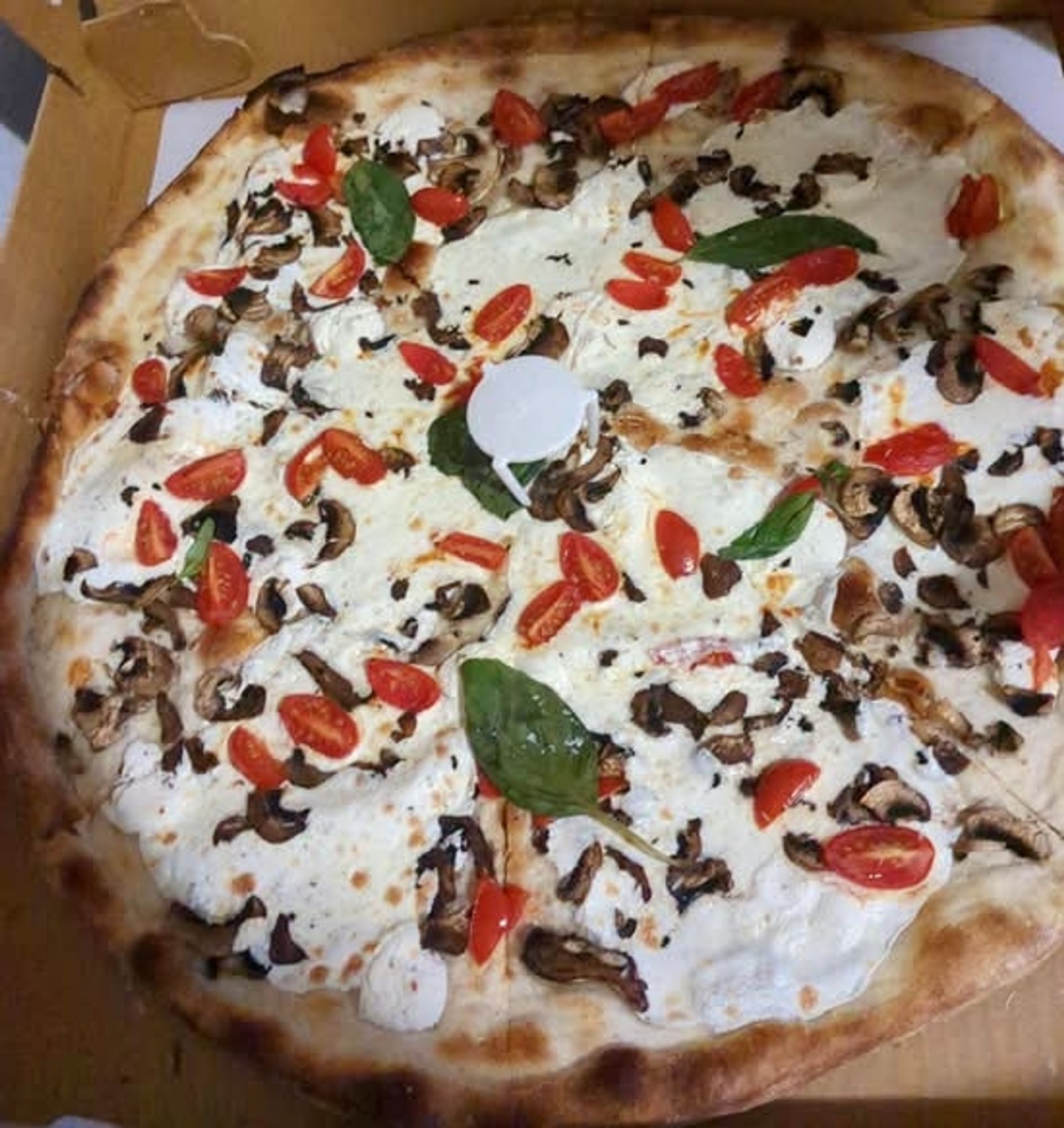 Truffle Mushroom Bianca