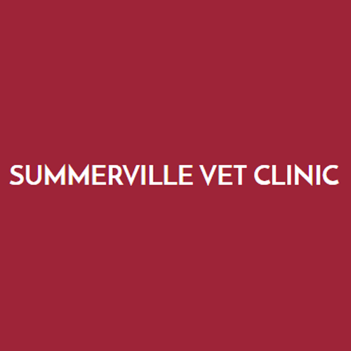 Summerville Veterinary Clinic
