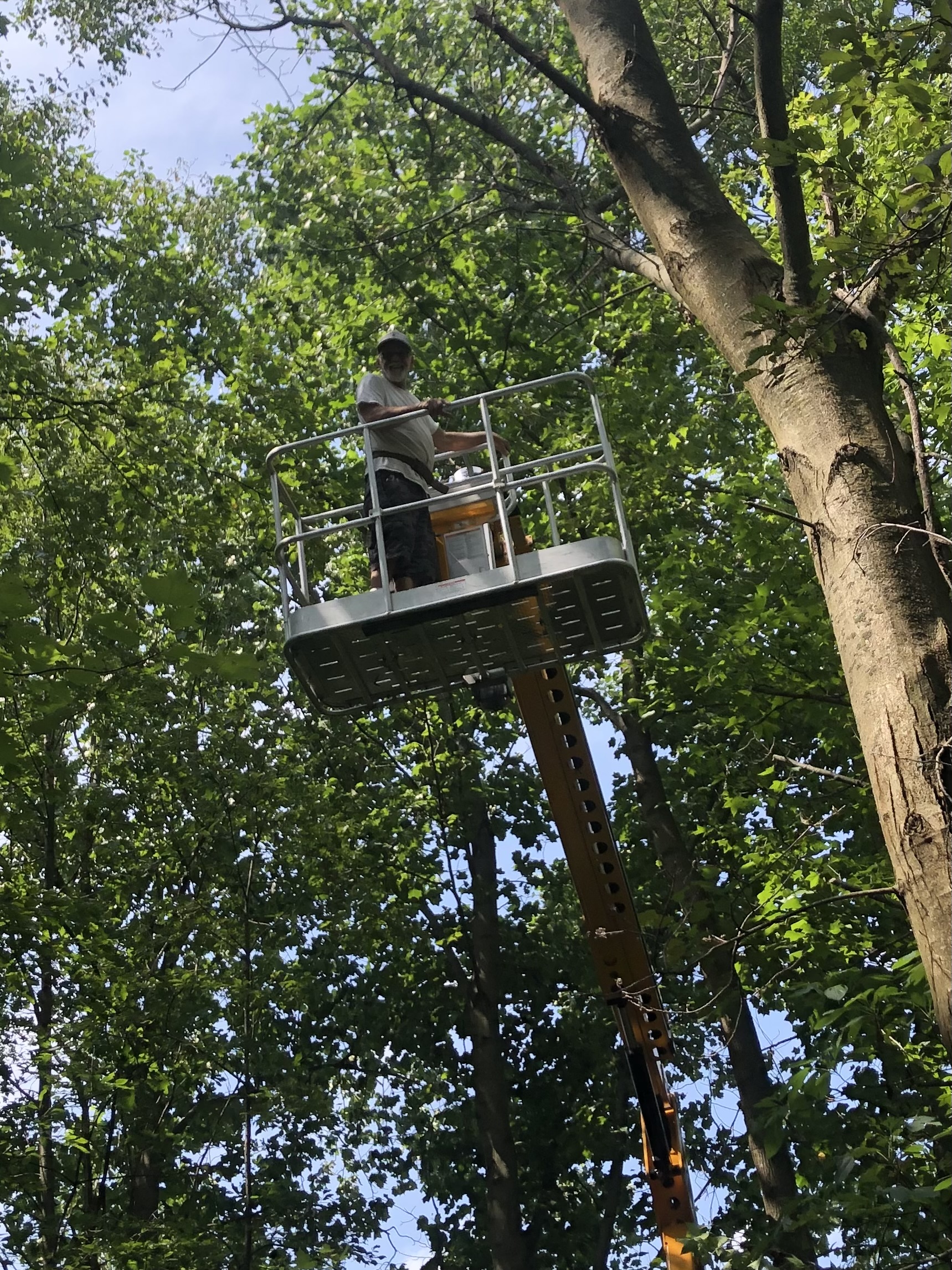 Greg's Tree Service Image