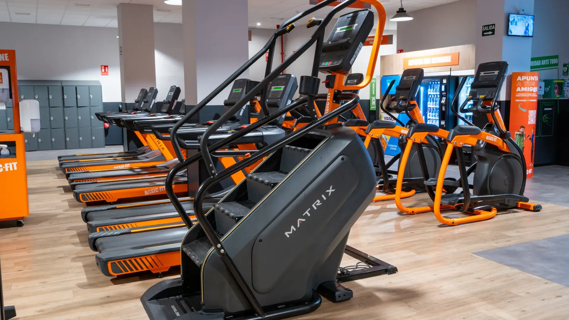 Galería en miniatura