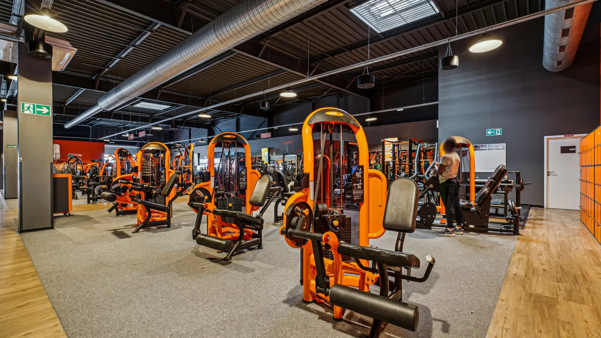 Miniature de la galerie