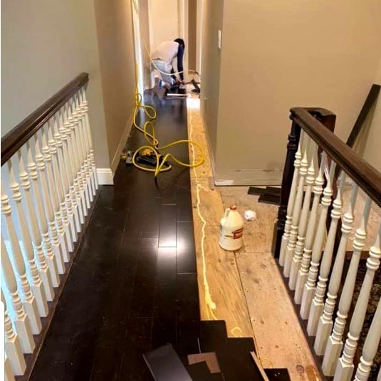 L Pro Painter and Carpenter Image