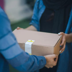 Galería en miniatura