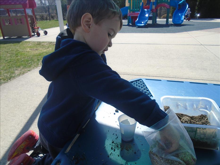 This is Zachary planting his grass seed during our Spring theme in our Preschool curriculum! The children get to watch the grass grow in their classroom and get excited to see all of the changes day to day!