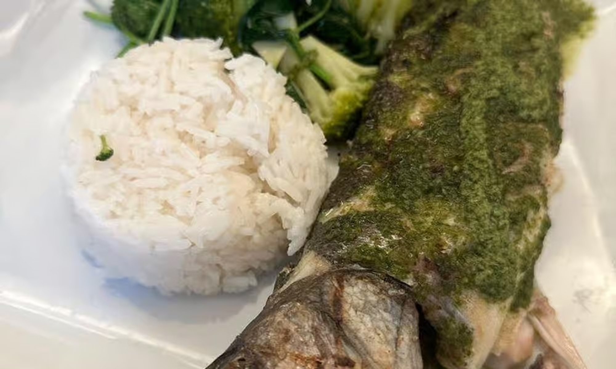 Mediterranean Sea Bass
