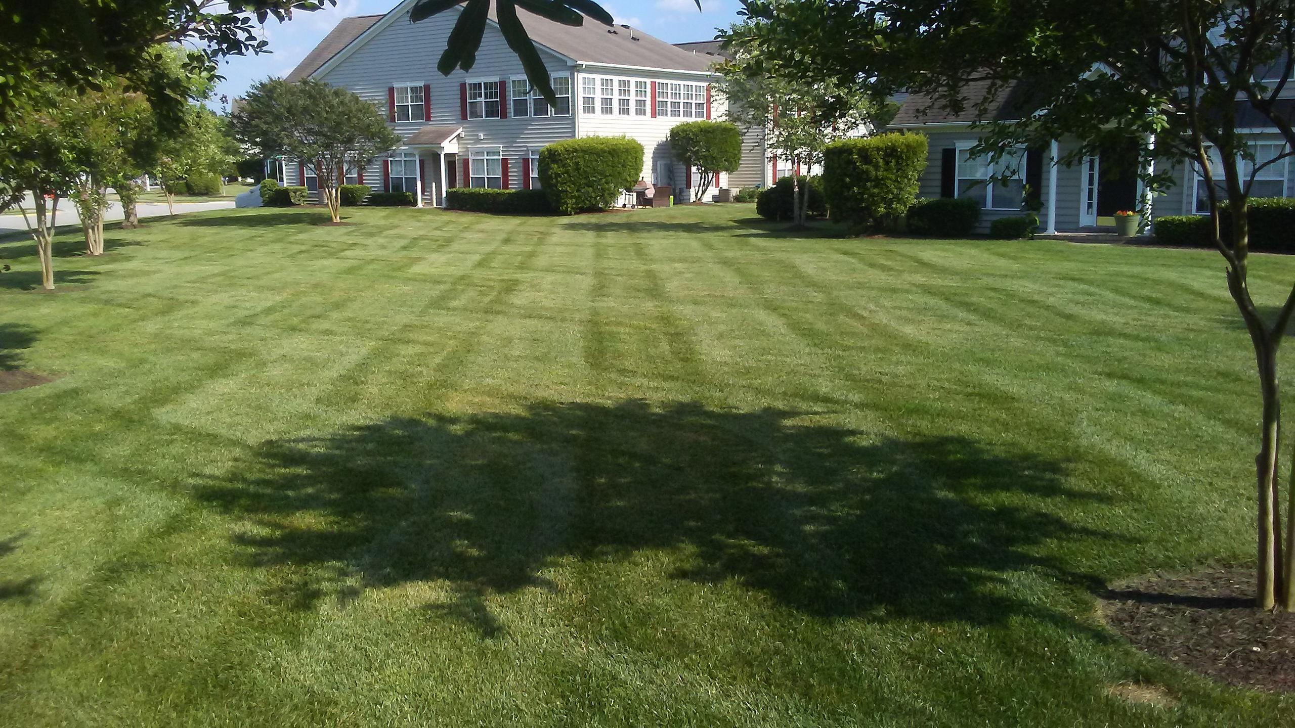 Botanical Landscape Management Photo