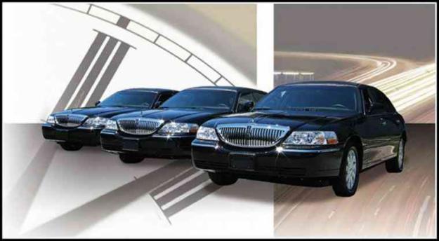 Goldstar Towncar and Limousine Services Logo