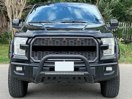 Bull Bars