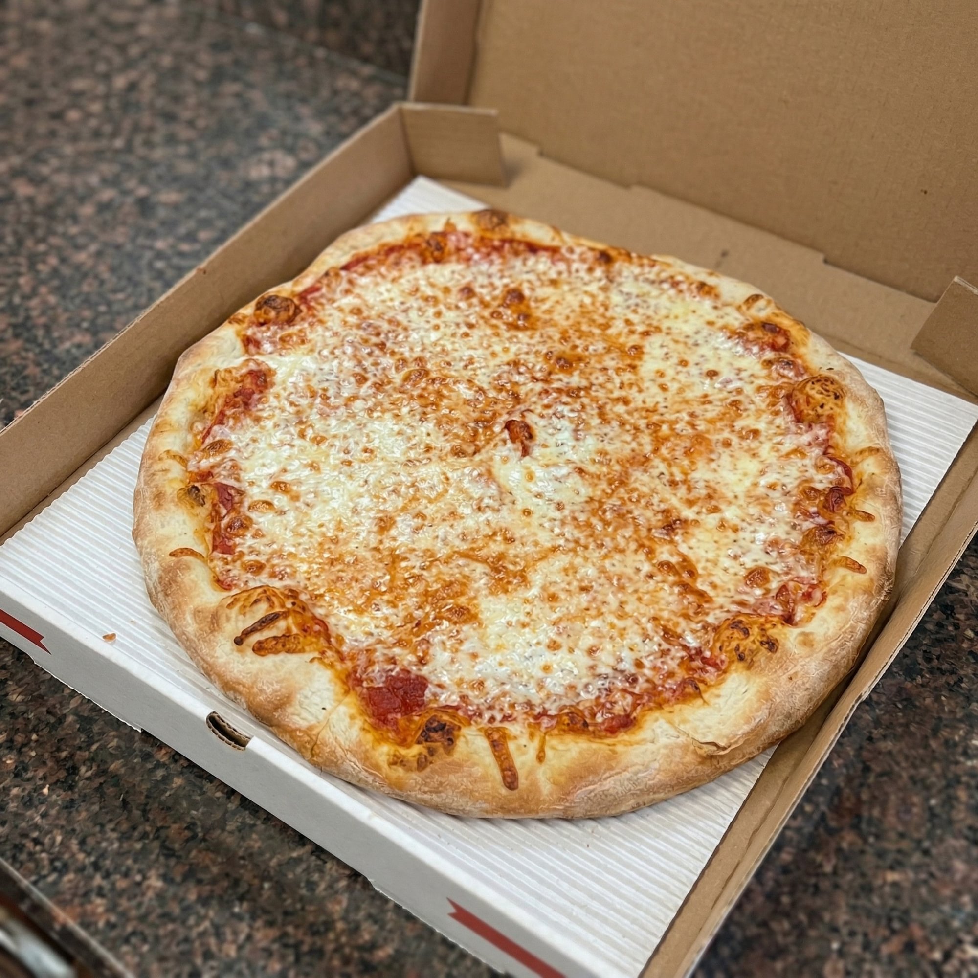 Plain Pizza