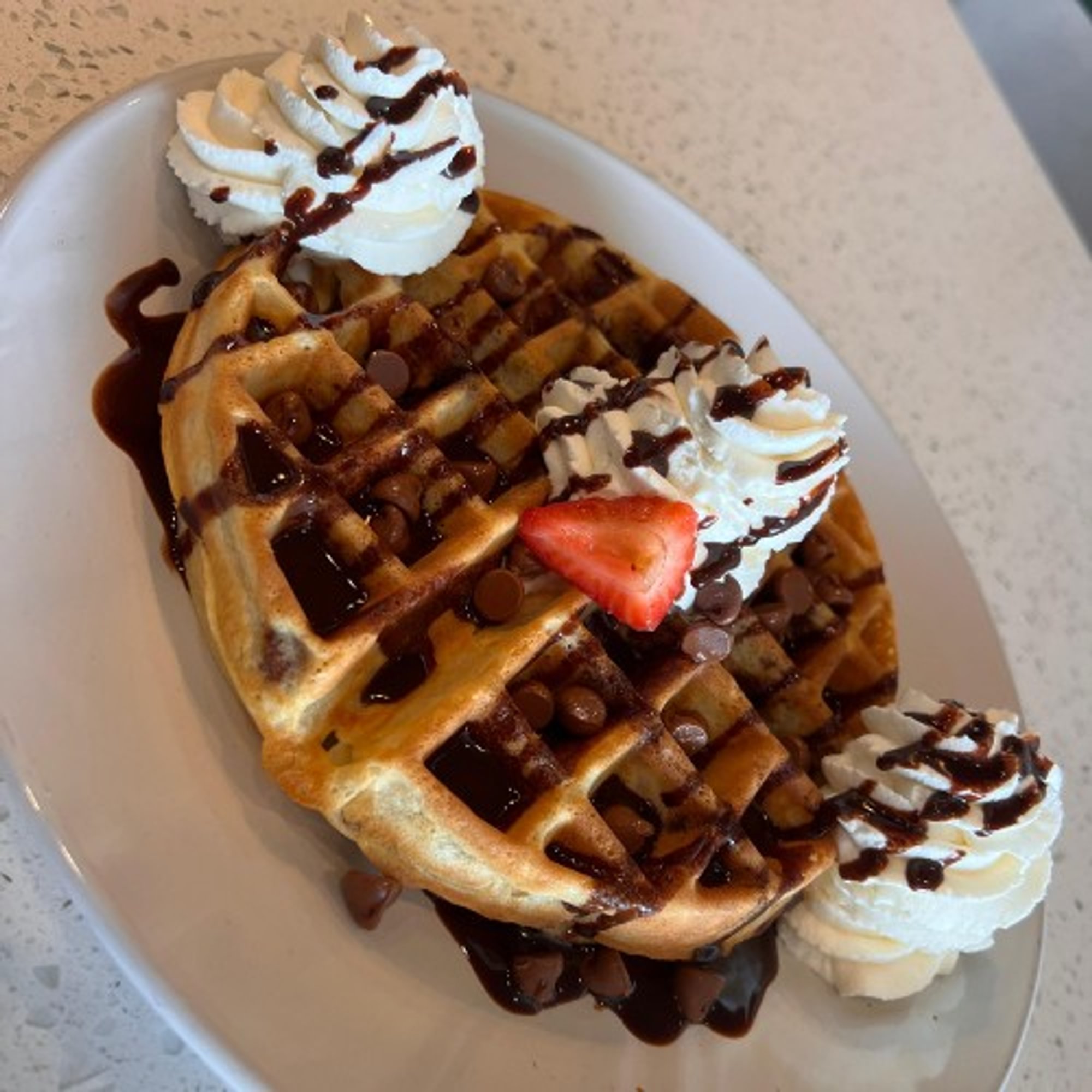 Chocolate Chip Waffle