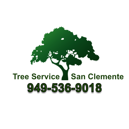 Tree Service San Clemente
