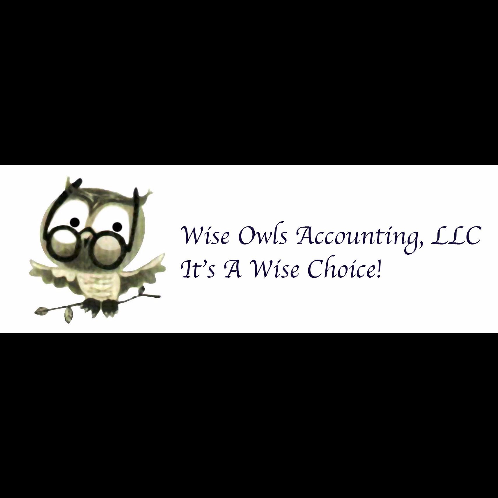Wise Owls Accounting Logo