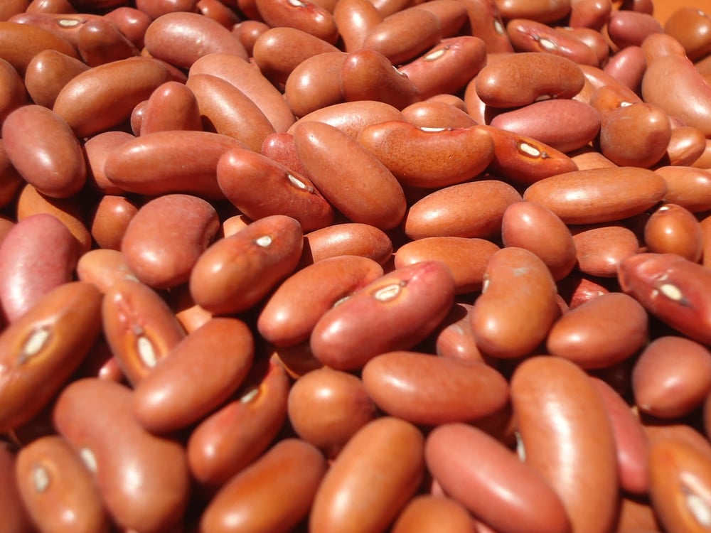 House Beans 16oz