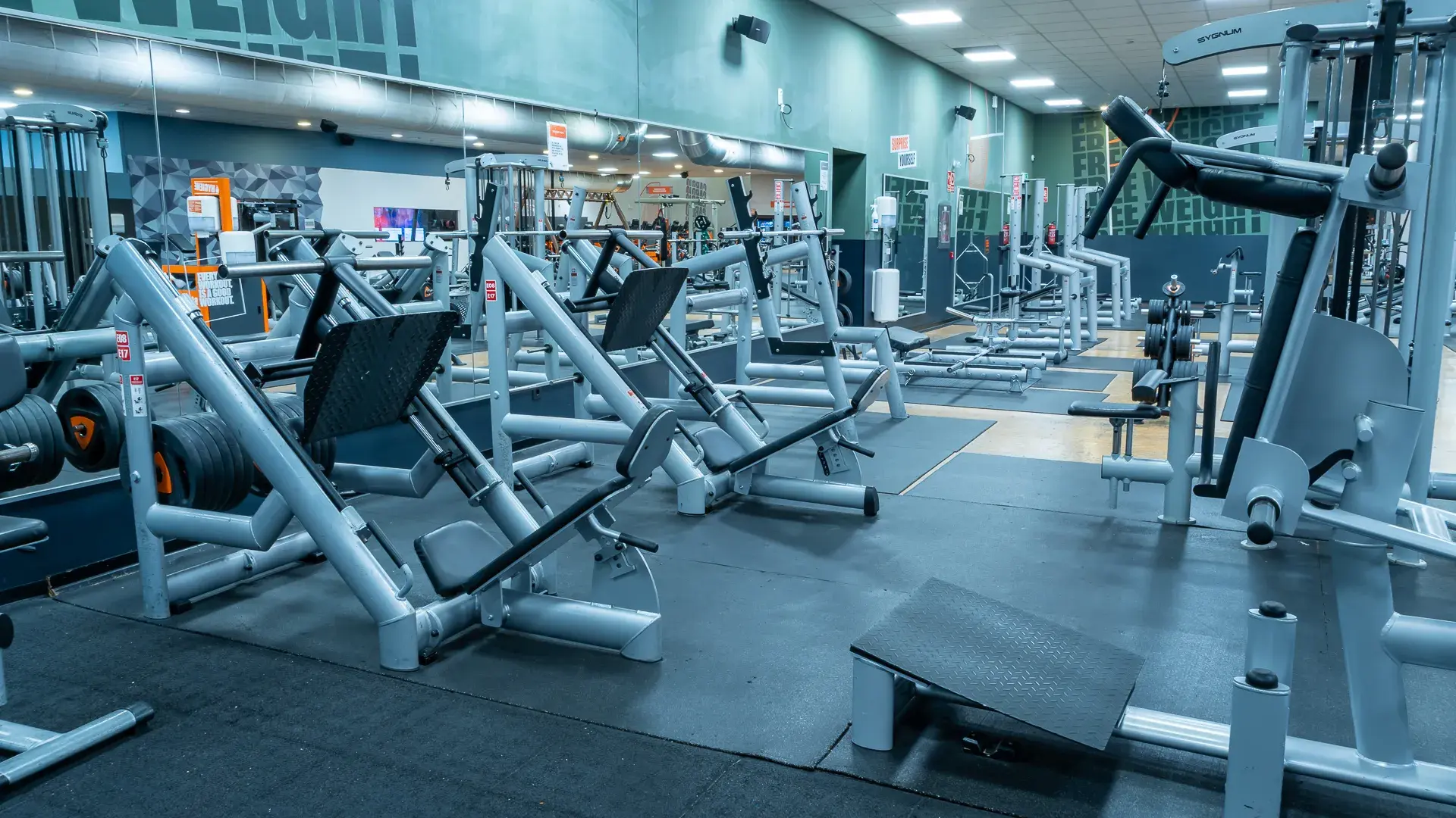 Galería de imágenes