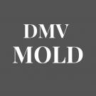 DMV Mold