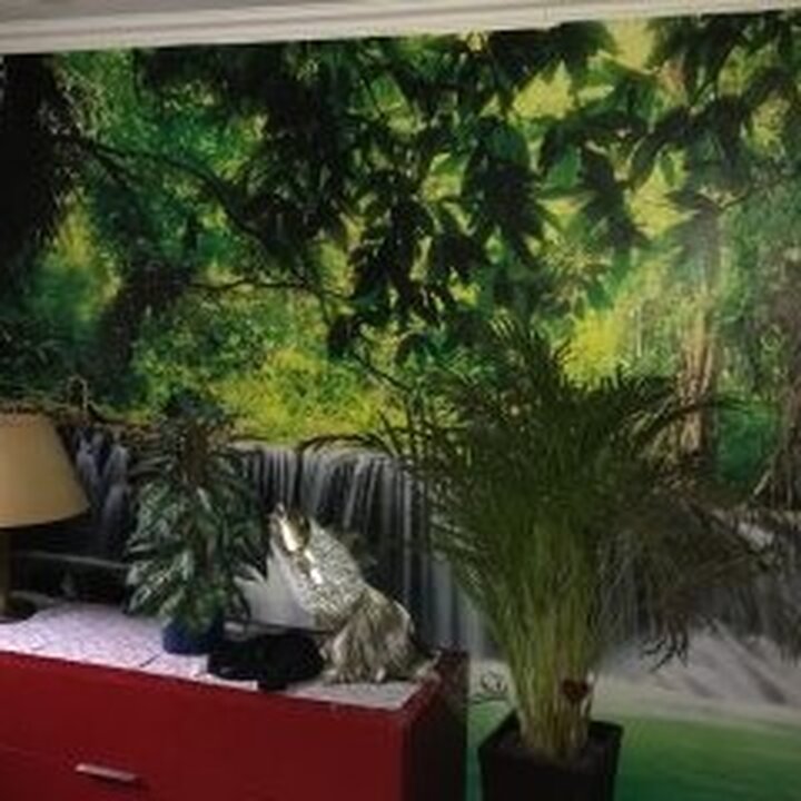 Galerie-Thumbnail