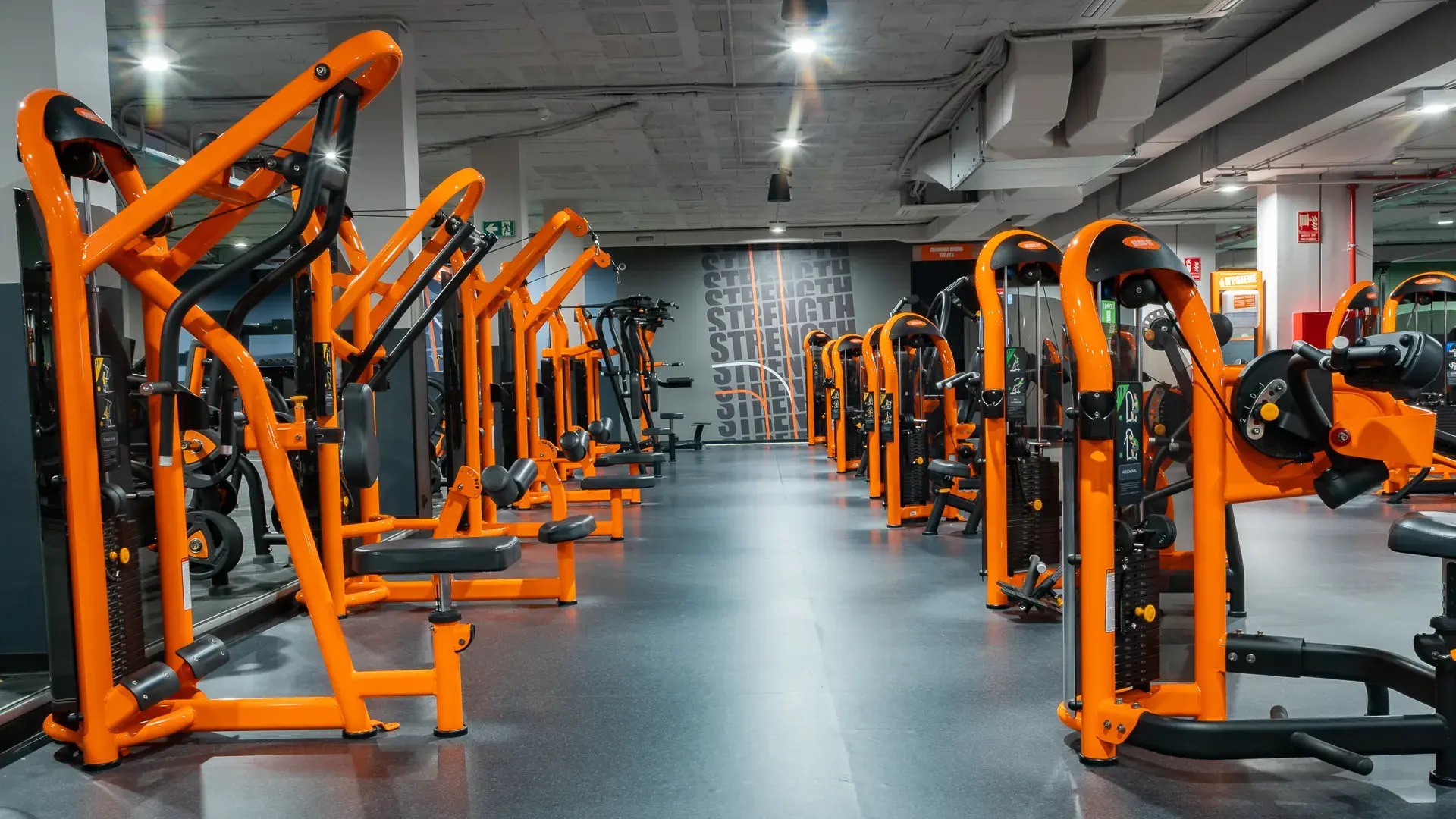 Galería de imágenes