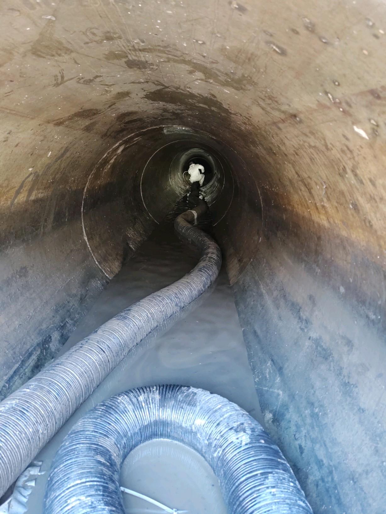 Reddi Services Image