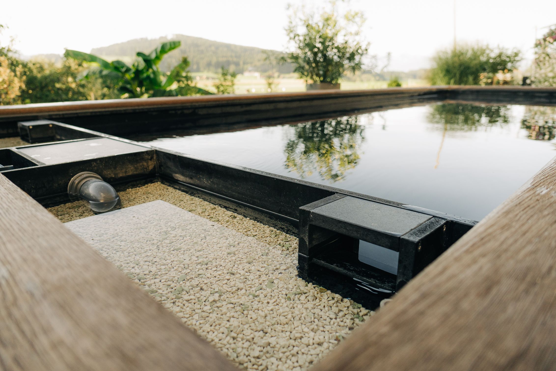 Biopool und Eco-Pool
