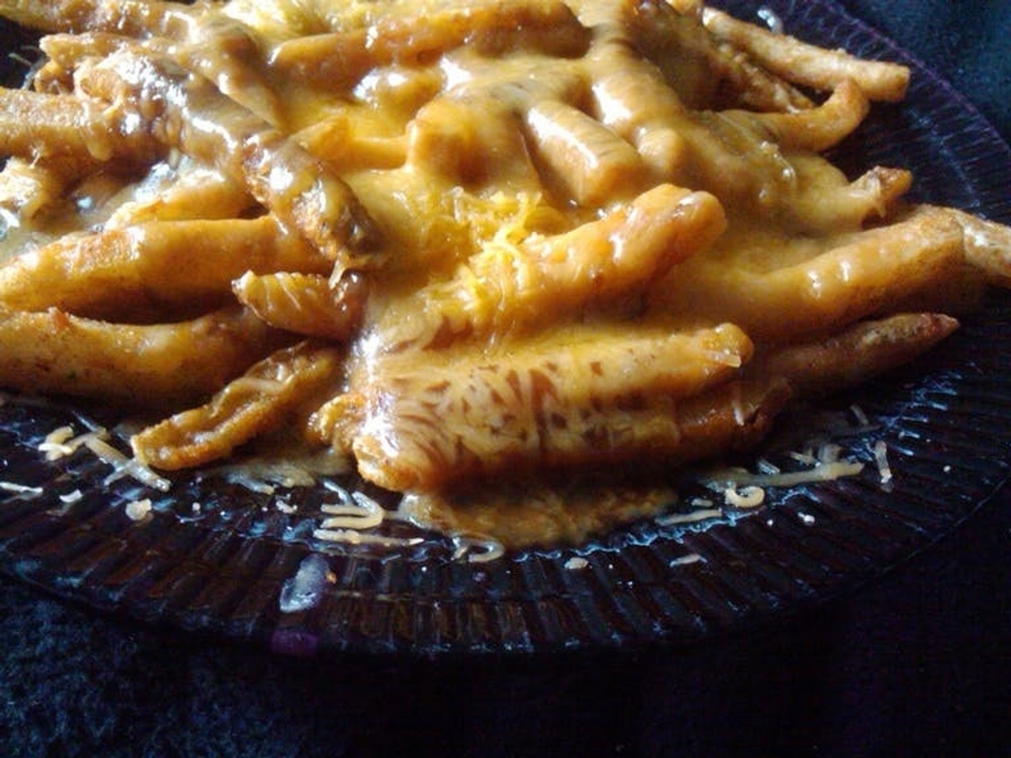 French Fries with Mozzarella and Gravy AKA Disco Fries