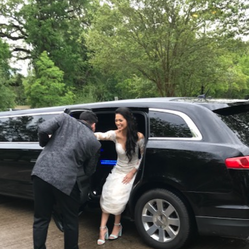 Mikes Luxury Transports Logo