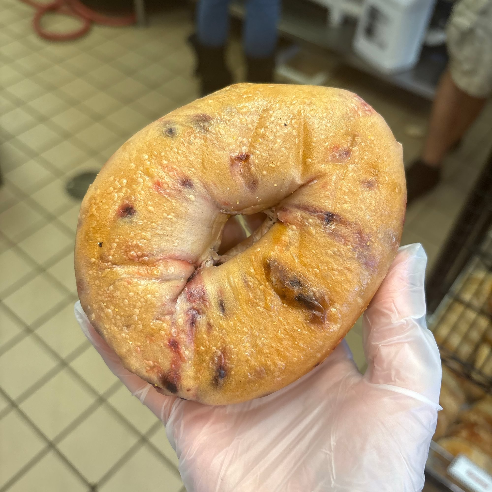 Blueberry Bagel