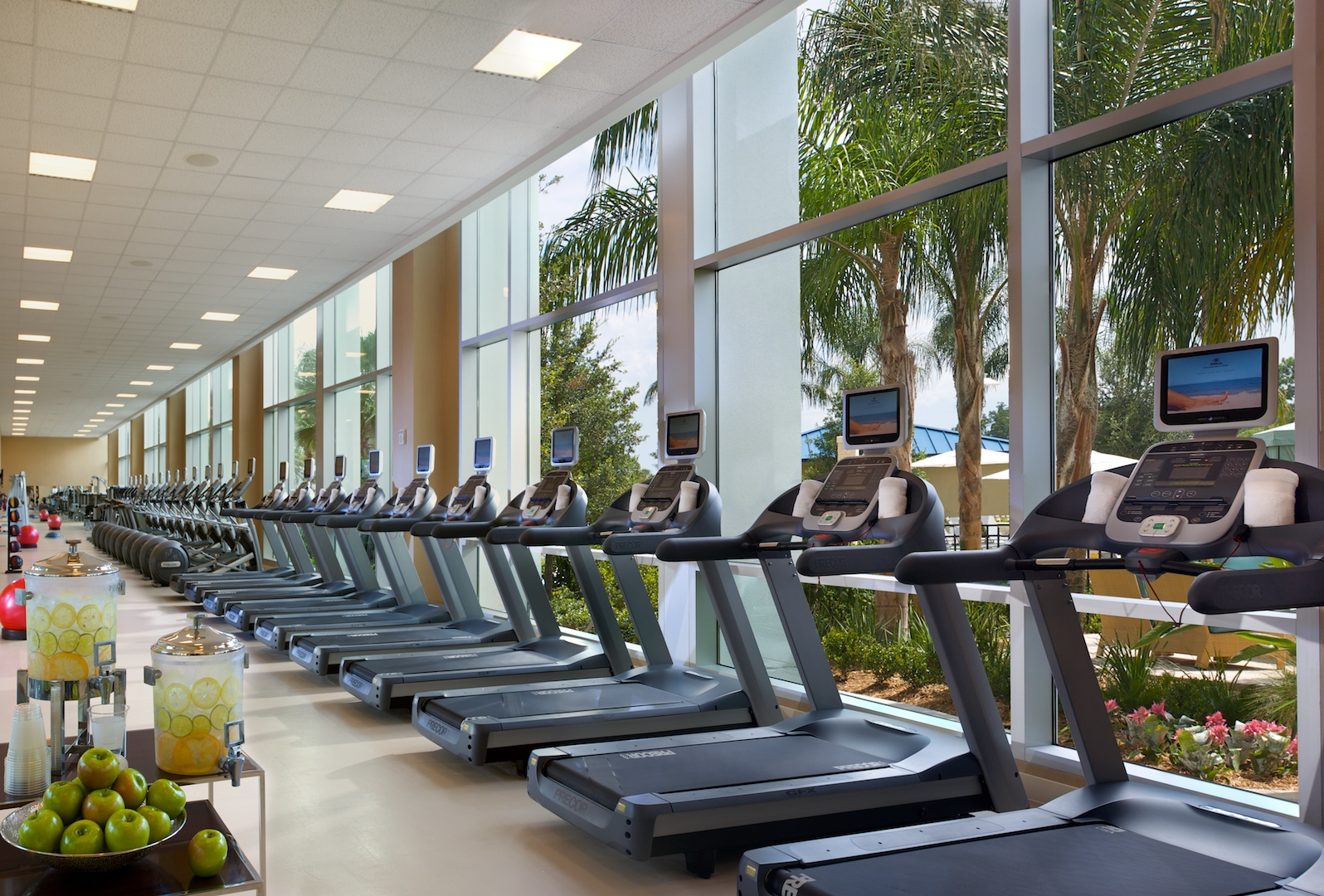WYNFIELD INN ORLANDO wynfield inn orlando: