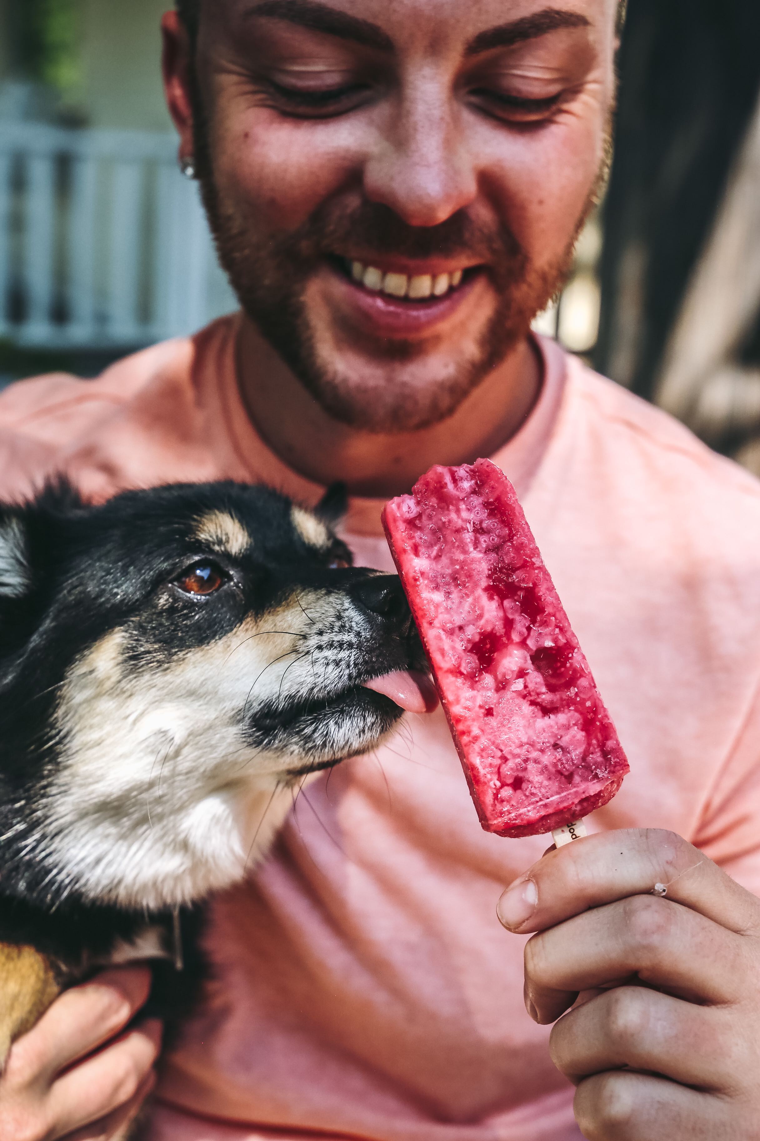 Frios Gourmet Pops South Boston Image