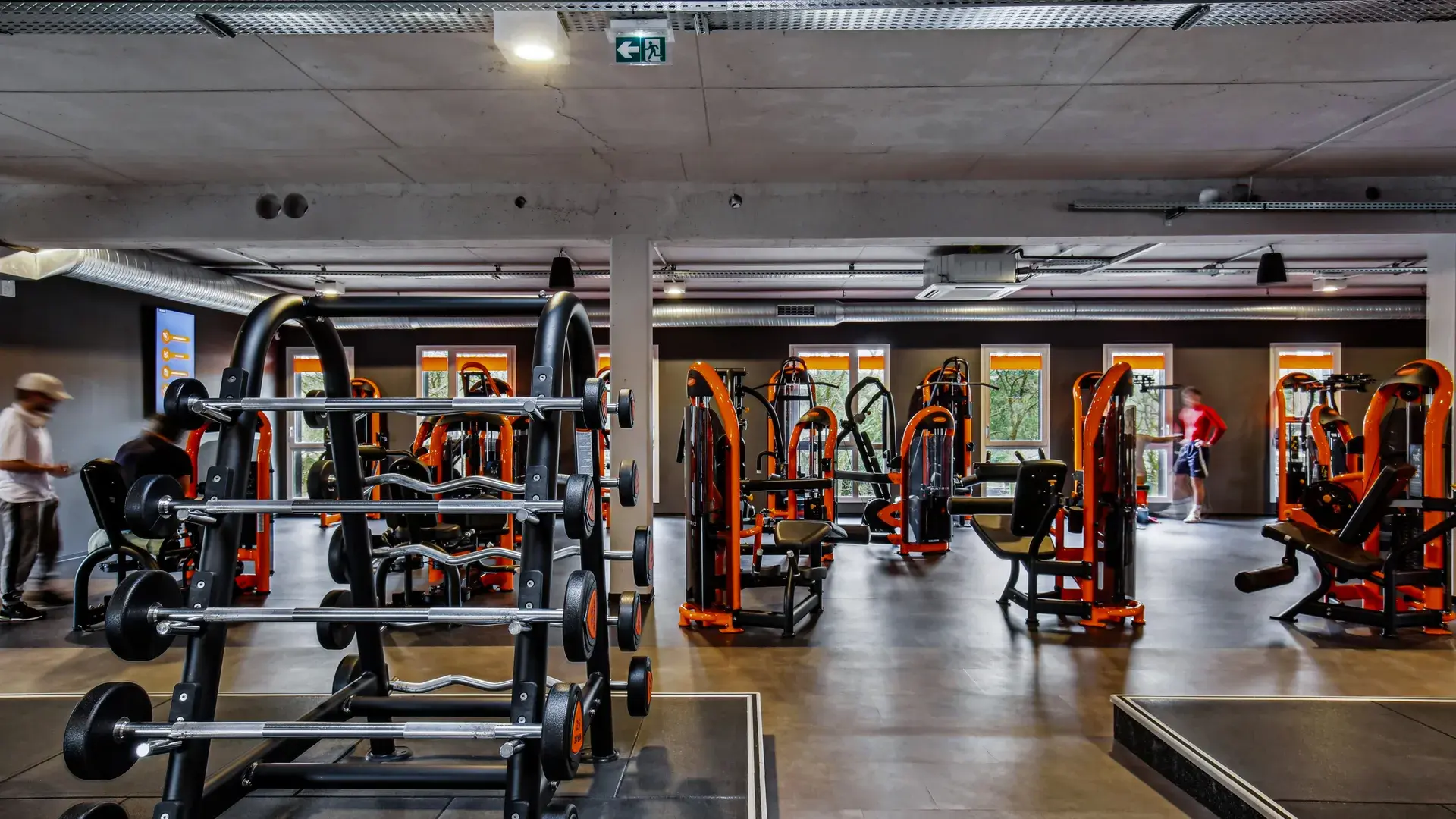 Miniature de la galerie