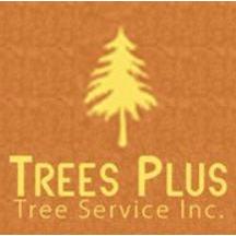Trees Plus Tree Service