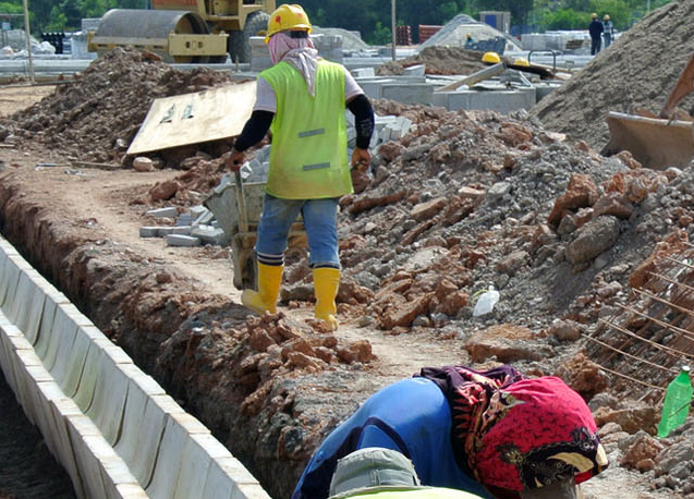 Royal Rooter, LLC Image