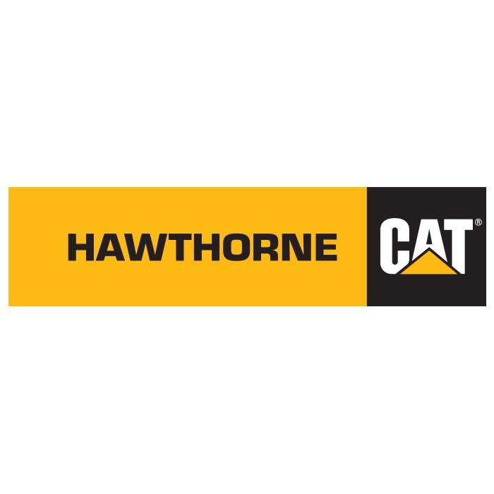 Hawthorne Cat Photo