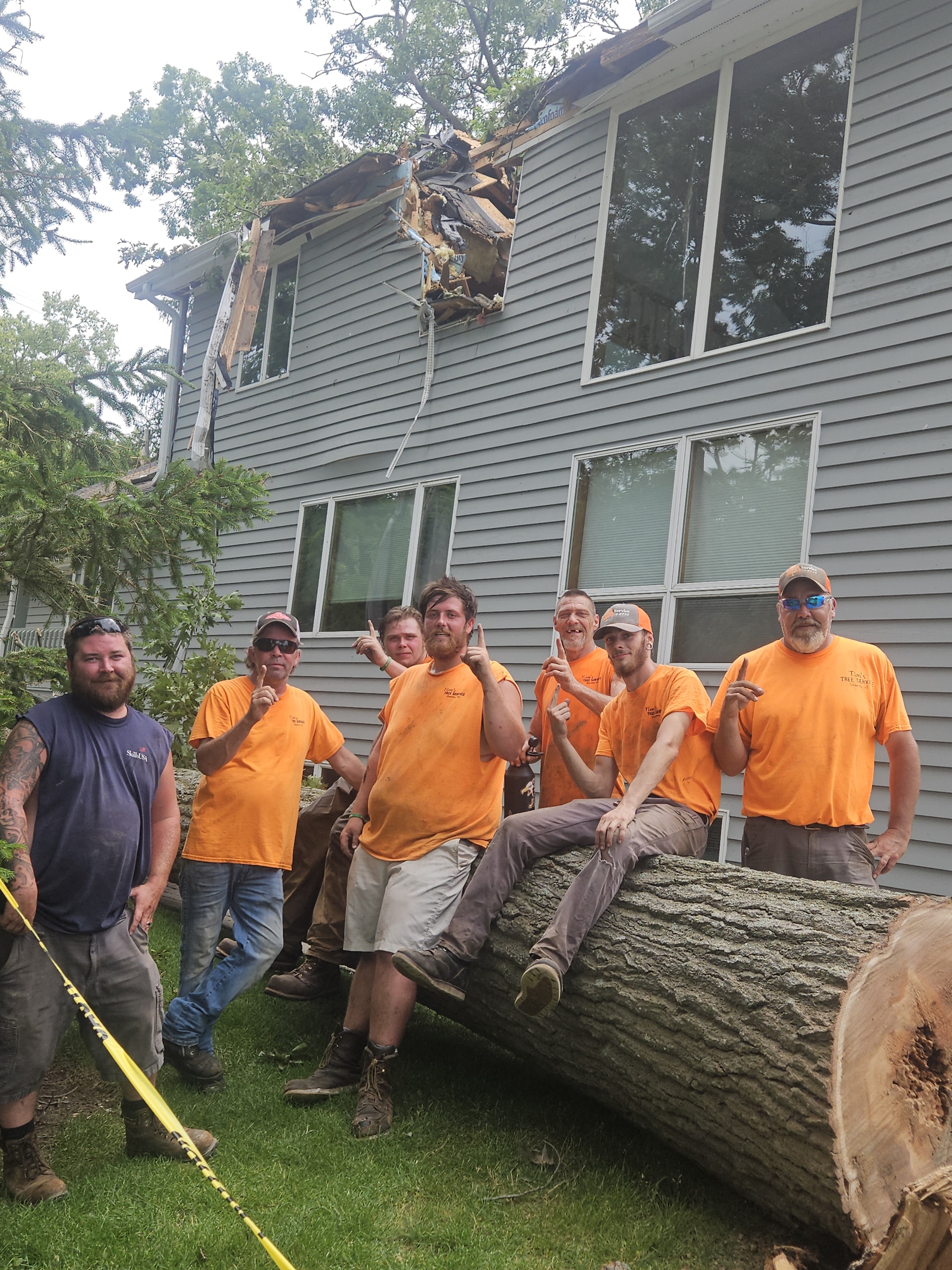 Tim's Tree Service Image