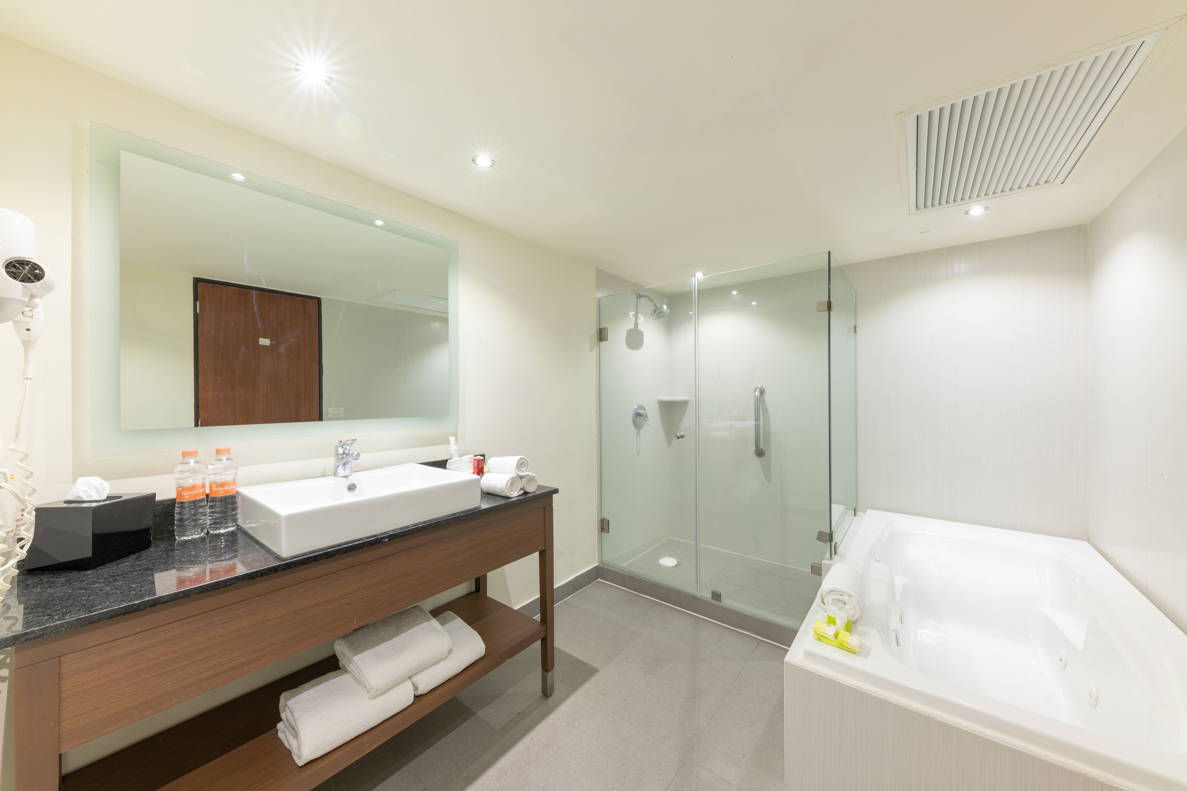 Images Holiday Inn Guadalajara Expo