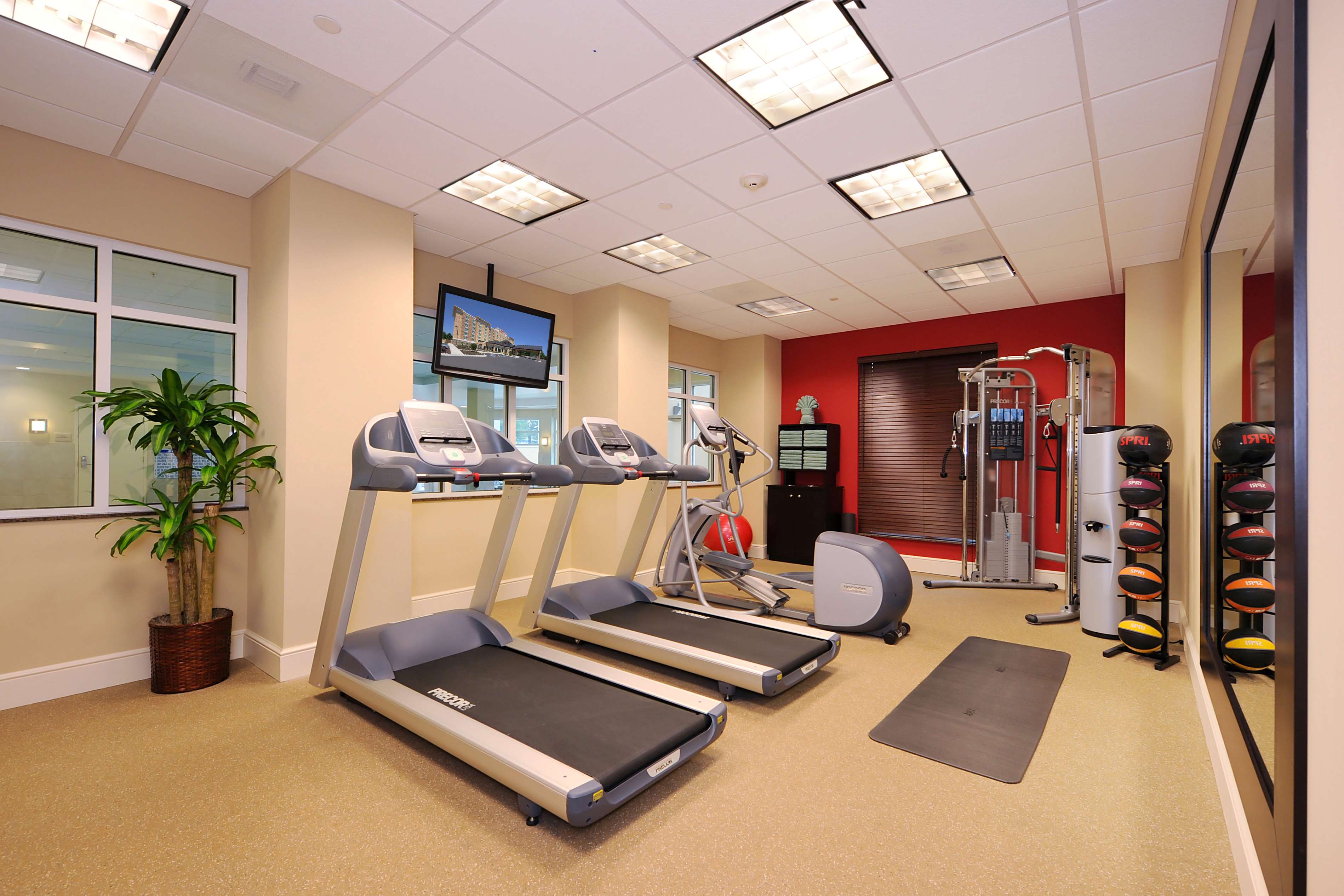 Health club  fitness center  gym