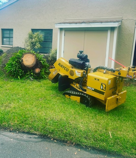 Troyer Tree Service Image