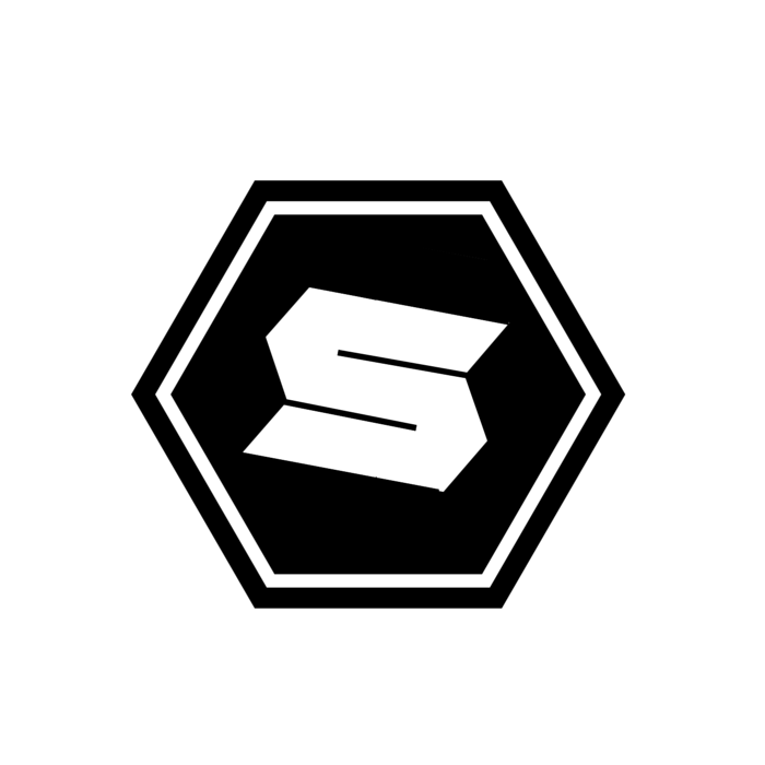 Skynet Repairs and Consulting Logo