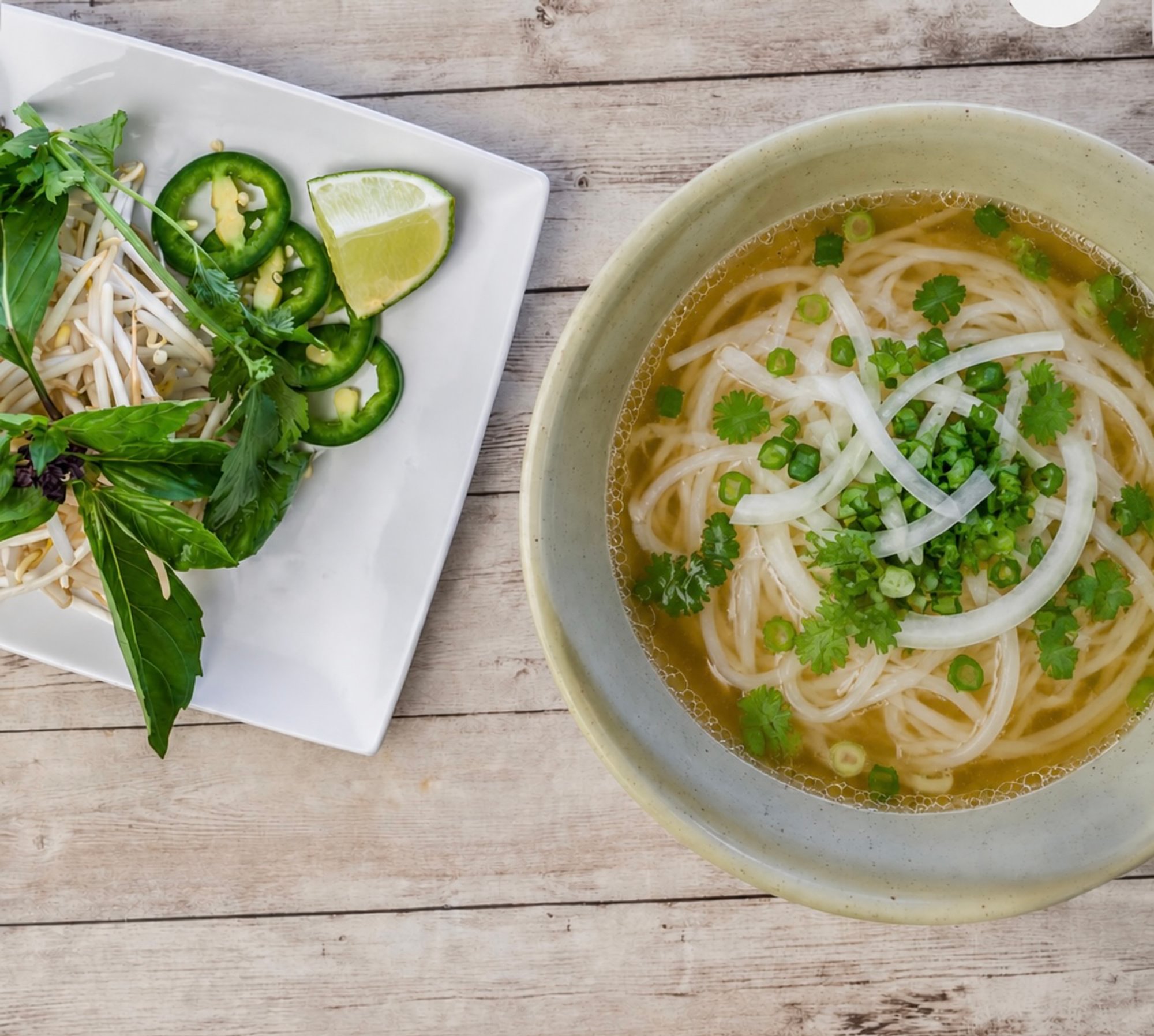 Chicken Broth and Noodle (Regular Size)