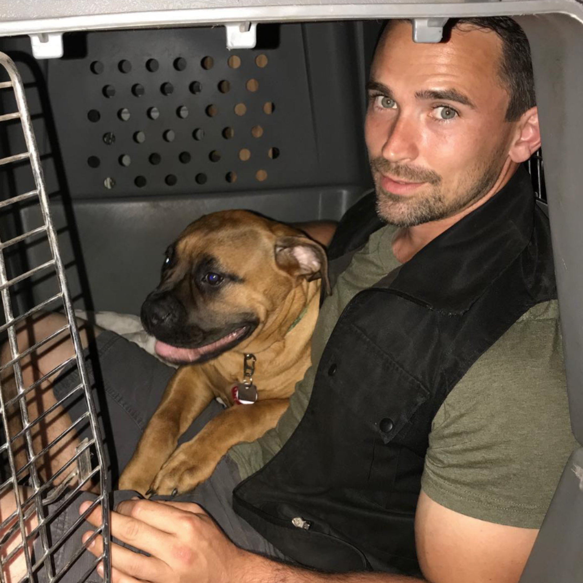 Nate Schoemer Dog Training Image