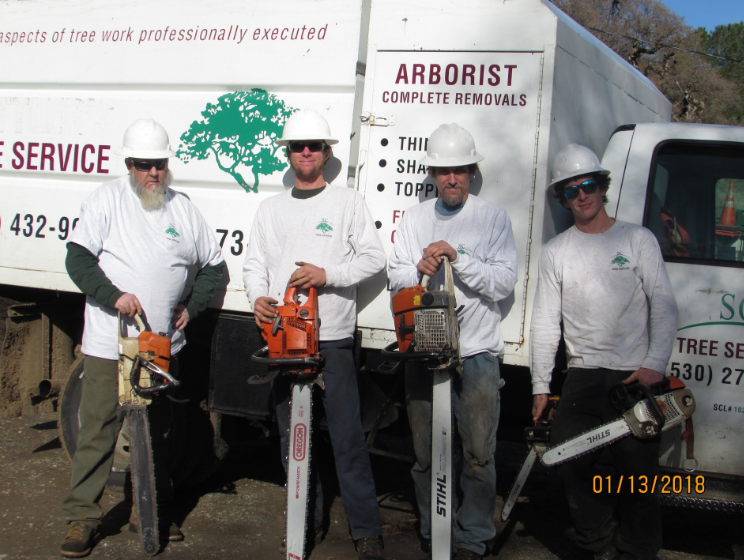 SC Tree Service Logo