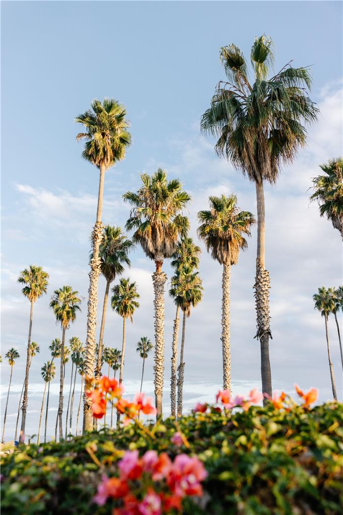 Casa Marina Key West, Curio Collection by Hilton Image