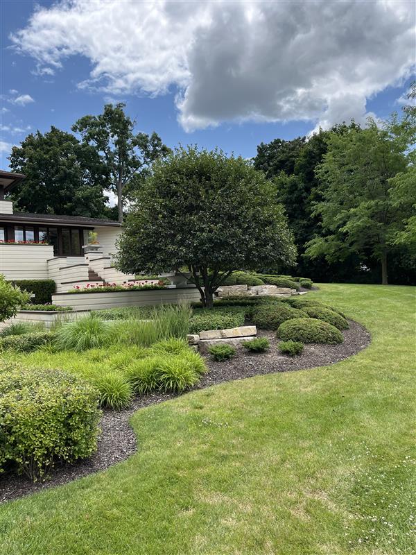 Eagle Eye Tree Service LLC Image