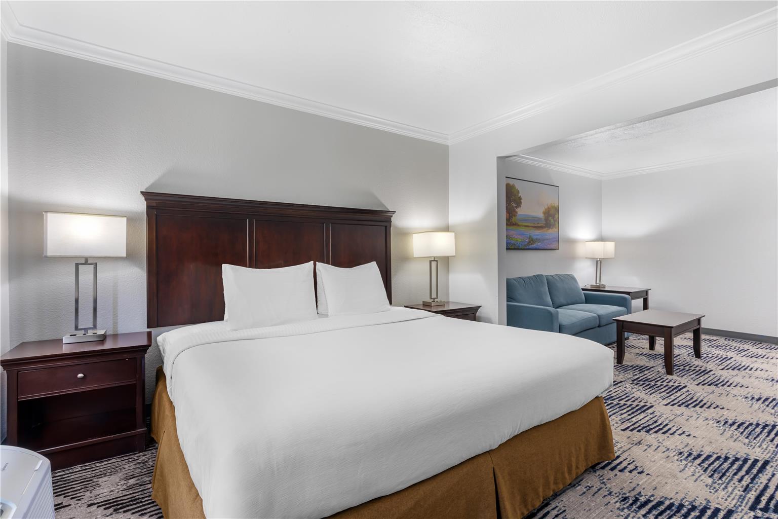 Best Western Plus Southpark Inn & Suites